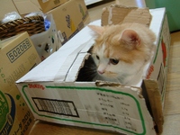 0201ddde927e54929ad0670819e6e073