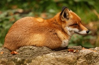 05f29cda3a26218e143e138e45304b0f