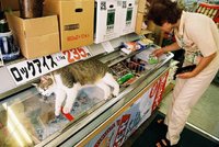 0b65678073b5572f14971a8db9684283