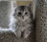 0c3f0c17198180c0bb7ad21c98893785
