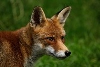 1122d5fef31dbfa504156271e6d4c9c8