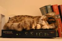 11d85266d89897dc4ce17a7027d076f6