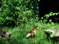 144dd3c61782be1b4caf9c16453146ec