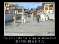 174c67cf8be9aeb8456517ff8e103d85