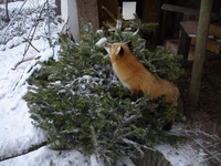 185dd622a94e2fce4de4130cce1ca1cb