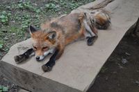 1e8b5e29579df2ac0af7965e42e69be9