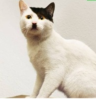 20987a1d9c94cd89625e61e31d0bf05d