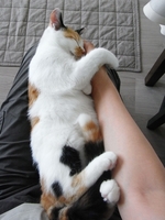 2a674c137b18048e8cc46239028a96fb