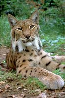 3316a3d76772f8fec8ae1e8e41fca820