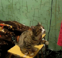 378c779d3d023c80d041573e5ec503bd