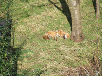 3fd939896df4e80eb37f966deb86f12e