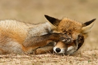 490c821a64f303463f8556924f64d486