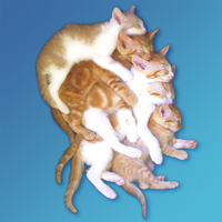 5177886eca1ddd959573b1aebebc094e