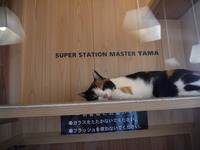 6b158754deffb62cd0ece4e6d91b33da