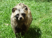 6da02acafa689c8196ed226fba3366e6