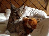 785284e77bda44b5cfbdd0b7de2fb2c6