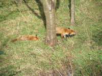 7a18fbcea117ea73e367927acf699a8d