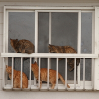 7cd6f0fdfc58c3831753285008db78d0