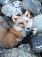 85c534562e65aa232bccb55bee191b92