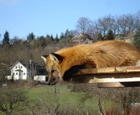 88298446d0cb1e4d156e7e4bf38e8ac6