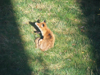 94191def40a3bc4bd2af78cf767b7f6c