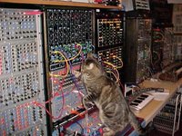 bb36d8a5fd5b2601d6165e246a2b1e6b