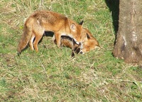 c0bd132efef9665efab1ea92ed687a66