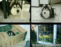 c49b11caee124bdb40b6fa3e1a28d39e