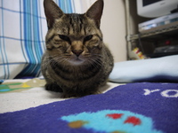 c6353207efd5fc304d2e3130b7736d74