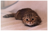 c85dd906cc2fa55a128254f903f6c7b3