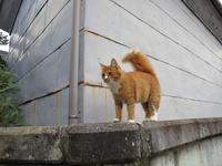 cb63b2de62eb37387c1fddfca9406043