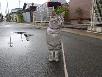 cb71c7232832e49f1ee41ac2a0c1e4cf