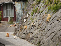 d35a79b6f3d3aab6f1ee0ff1e023ffb9