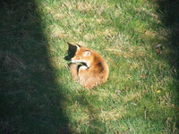 e143fba94a3ed840e30b3cca0abf2204