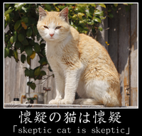 e8f72e51a20fc998d2a57f65e49b20aa